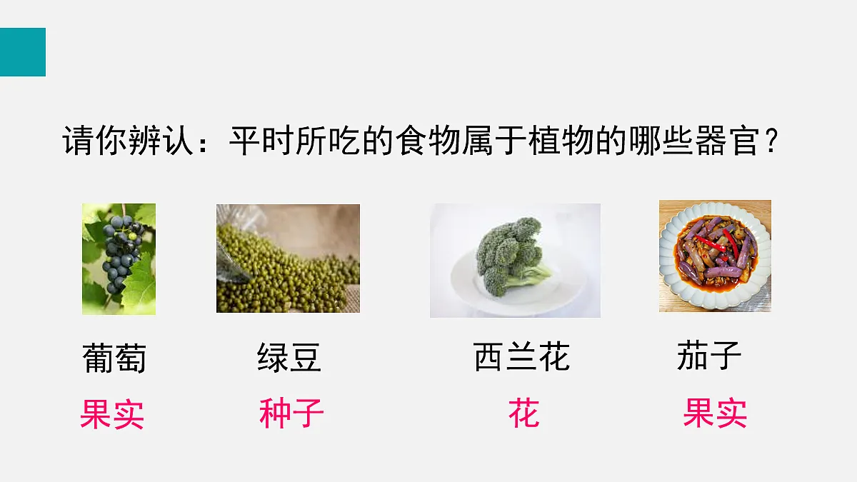17255393第5页