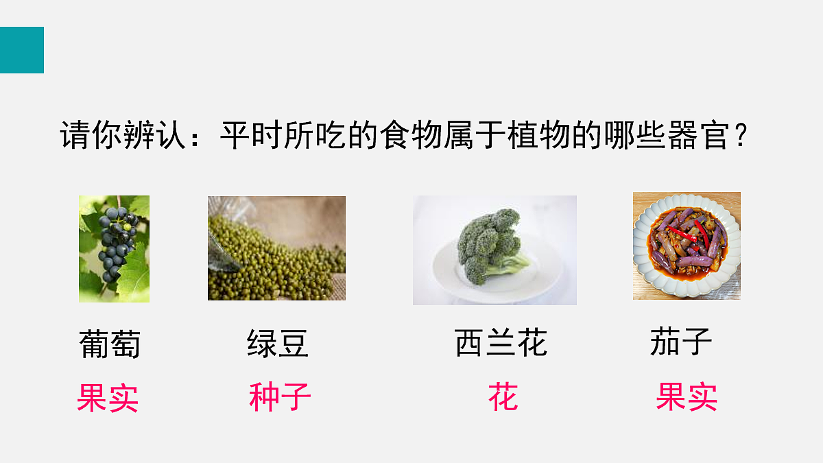 17255393第5页