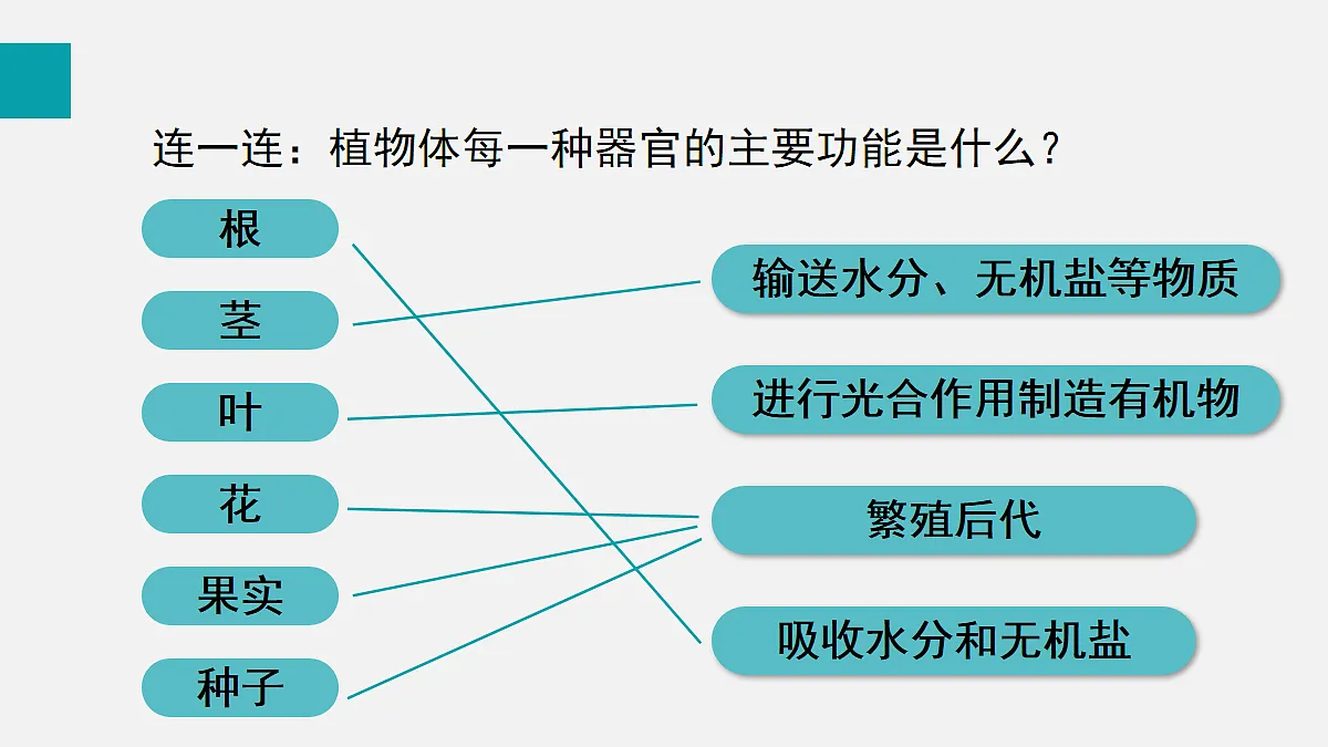 17255393第6页