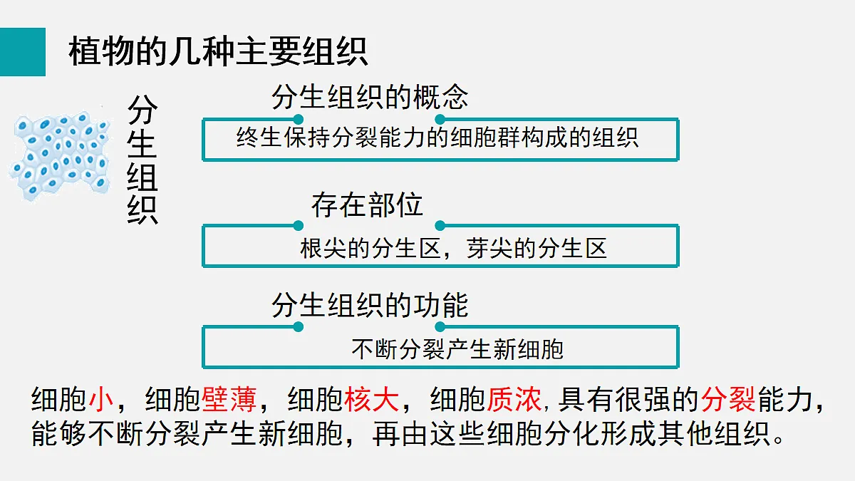 17255393第7页