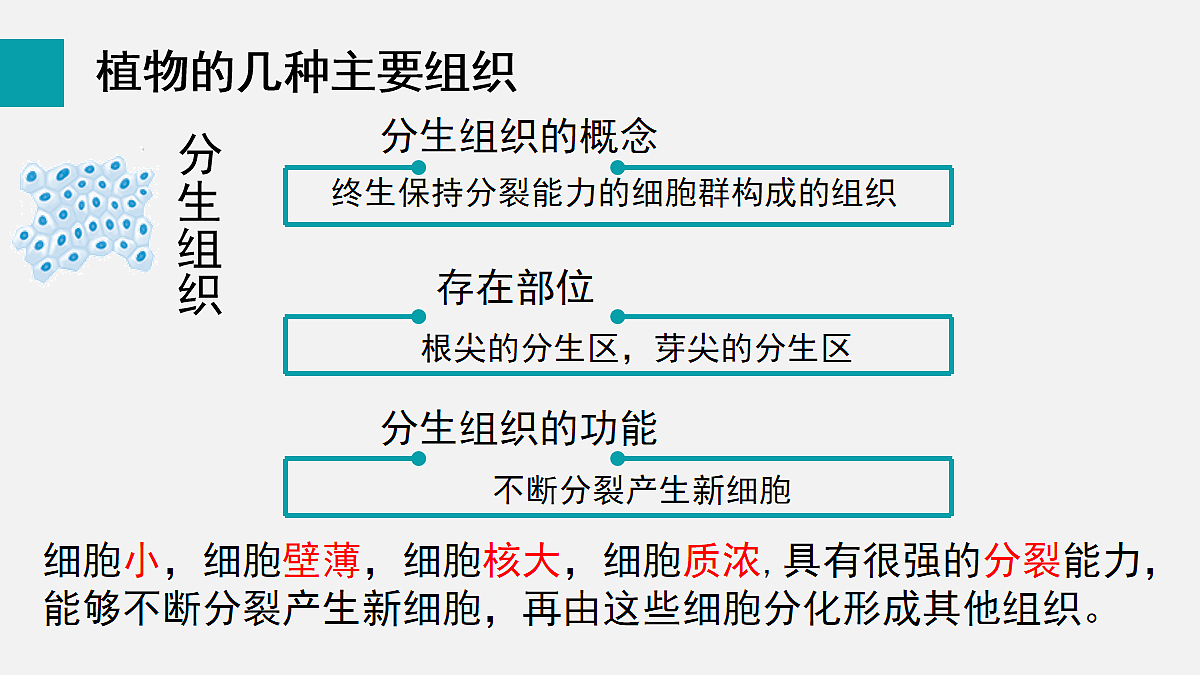 17255393第7页