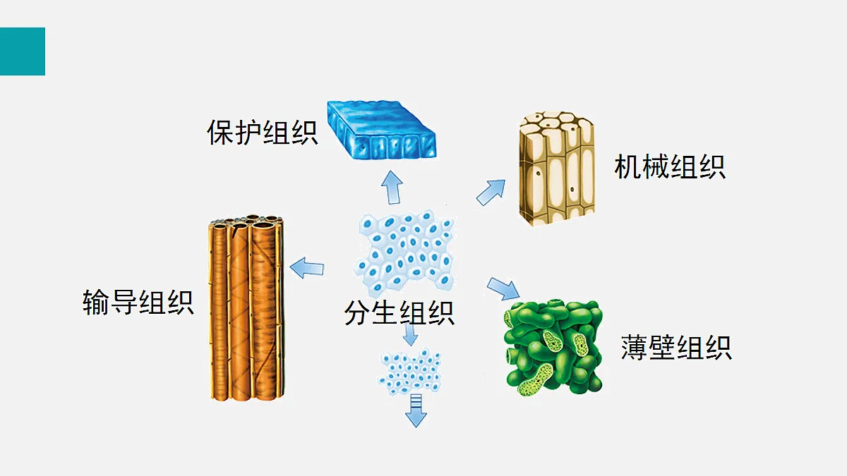 17255393第8页