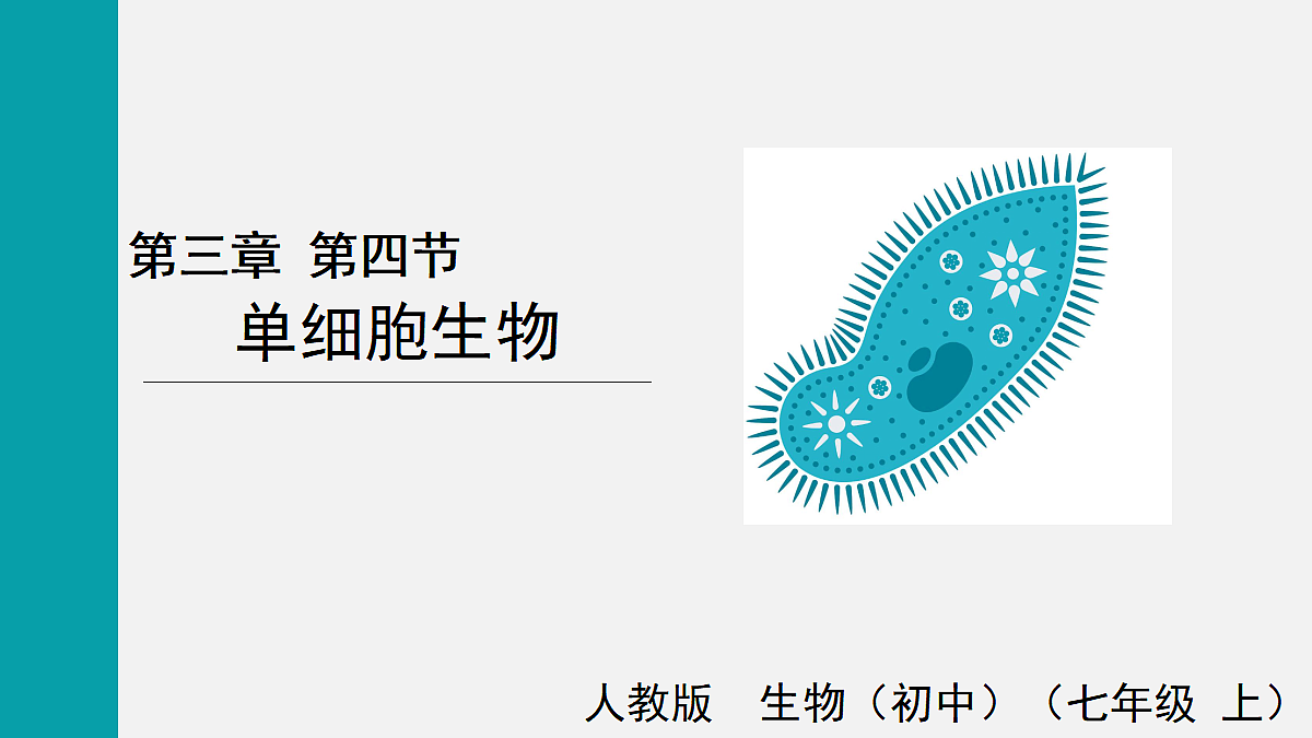 17255394第1页