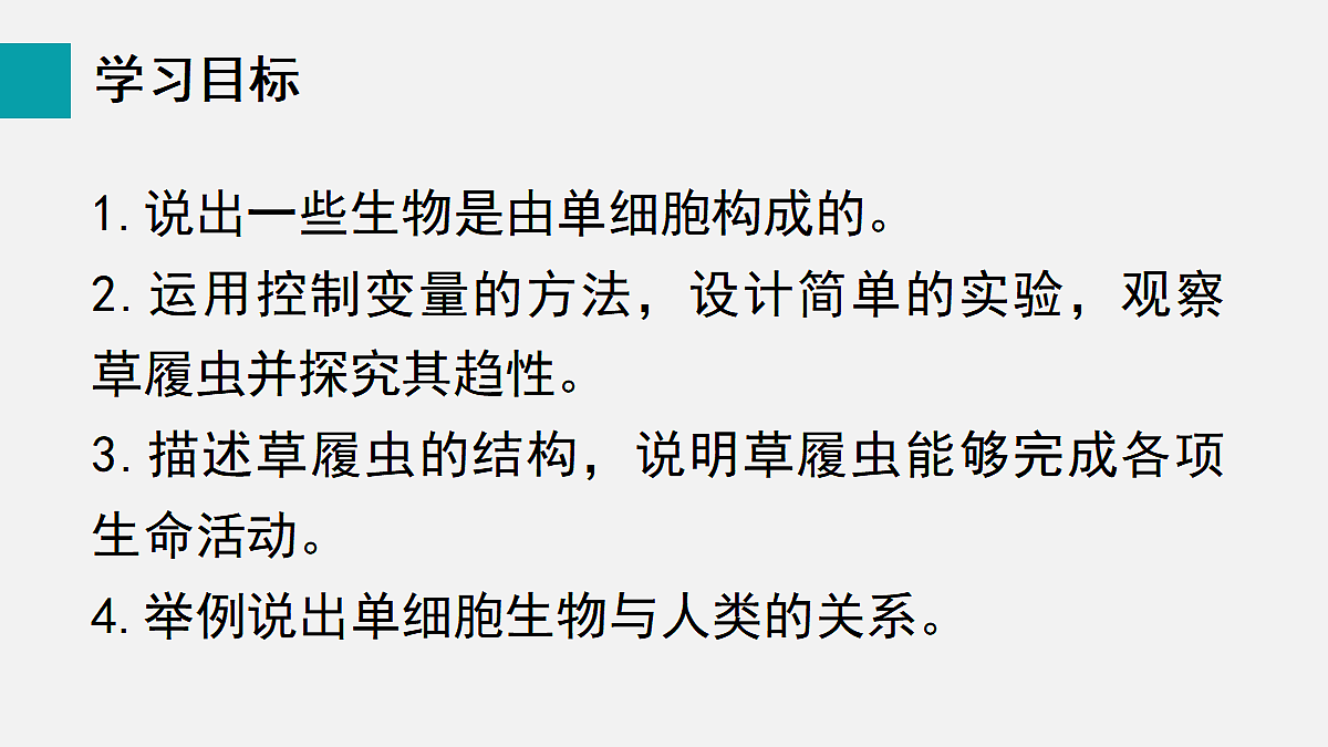 17255394第2页