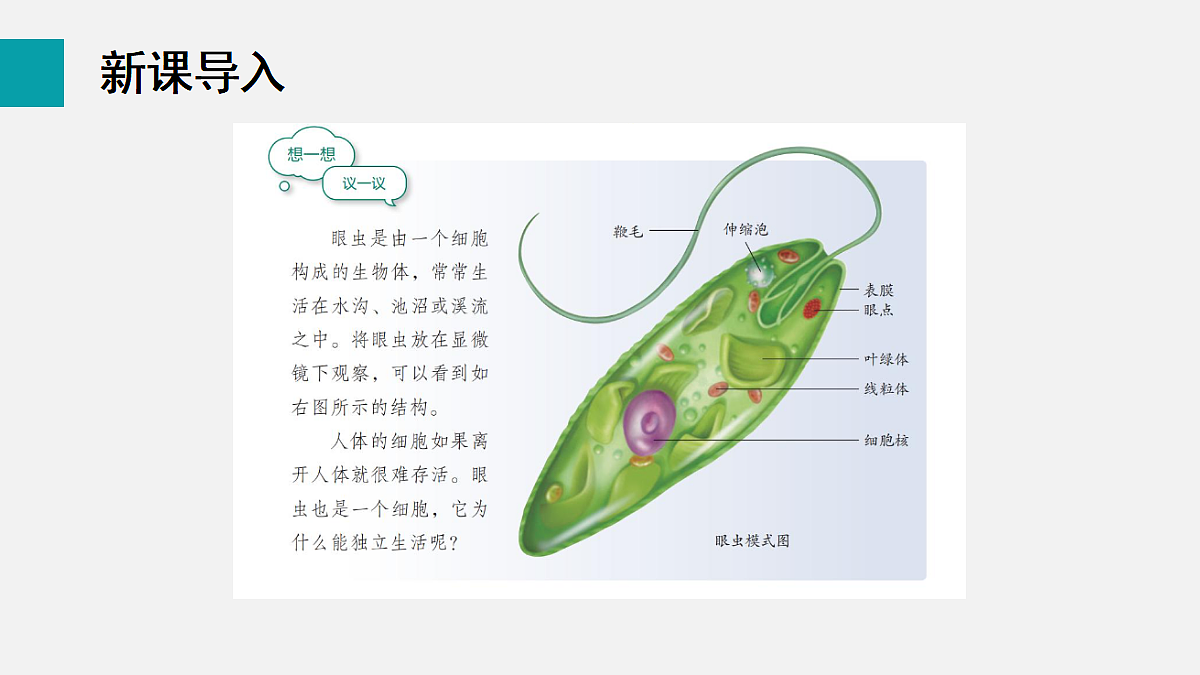 17255394第3页