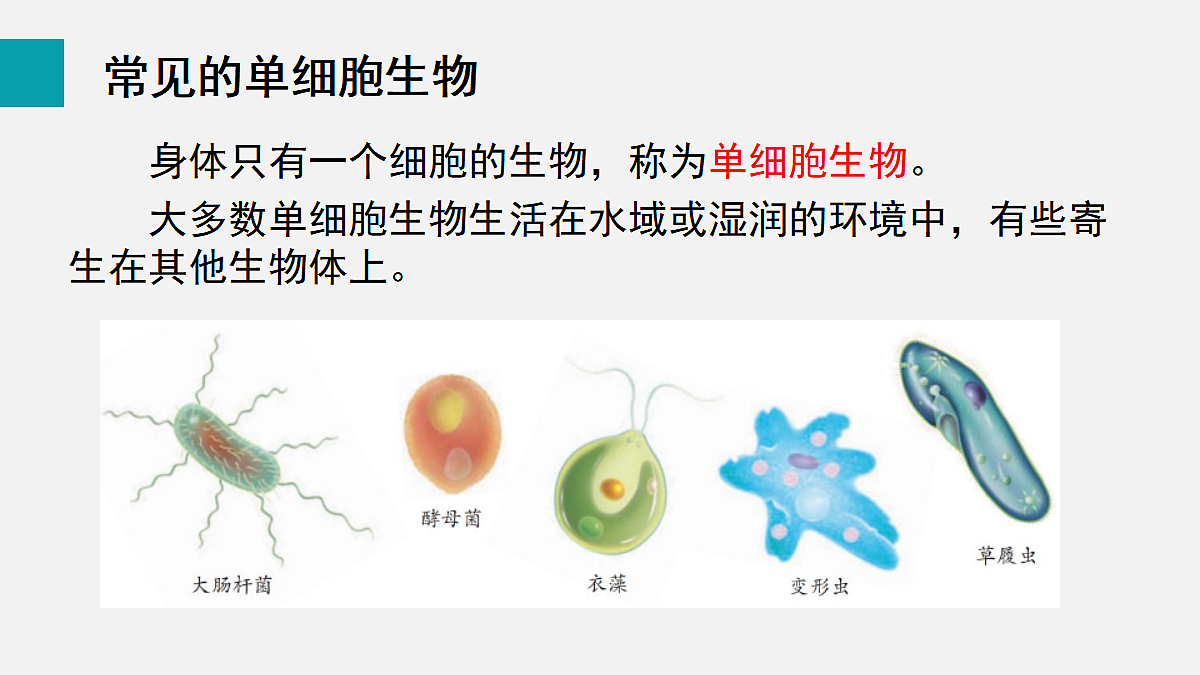17255394第4页