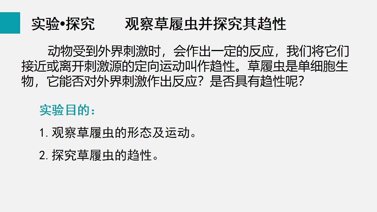 17255394第5页