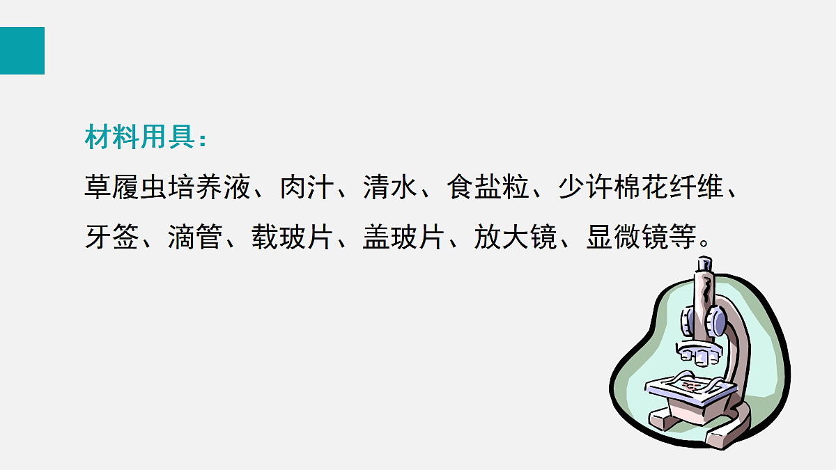 17255394第6页