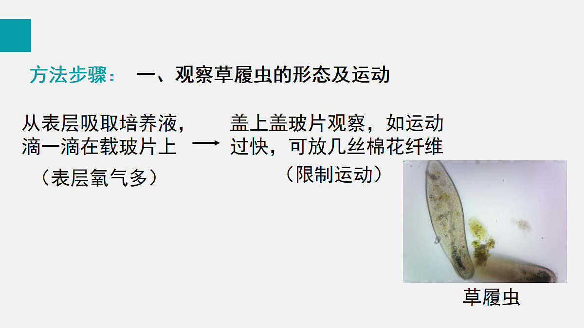17255394第7页