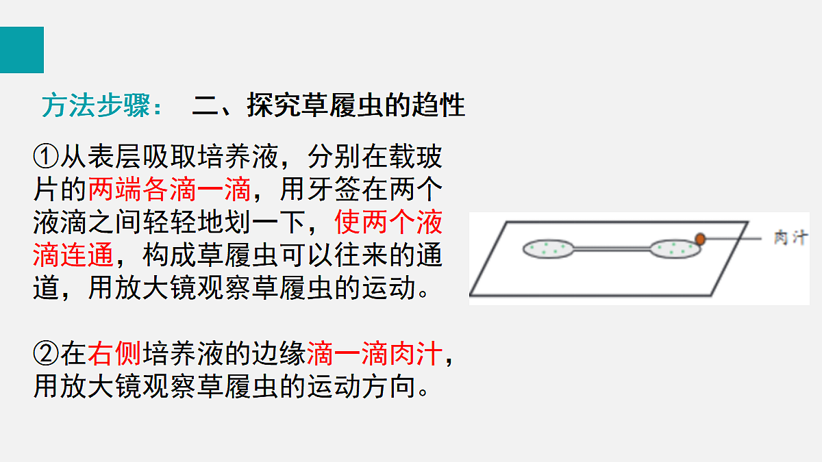 17255394第8页