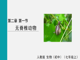 2.2.1無(wú)脊椎動(dòng)物(課件)2025-2026學(xué)年人教版七年級(jí)生物上冊(cè)