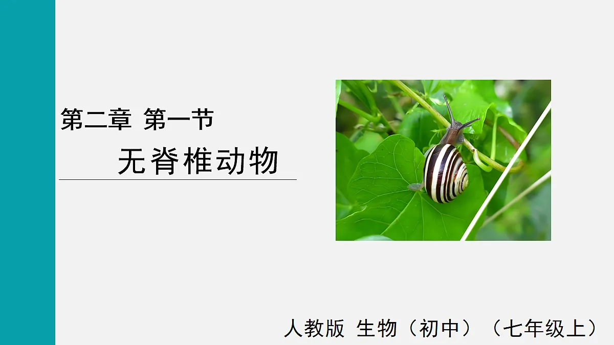 17255396第1页