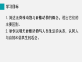 2.2.1無(wú)脊椎動(dòng)物(課件)2025-2026學(xué)年人教版七年級(jí)生物上冊(cè)