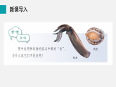 2.2.1無(wú)脊椎動(dòng)物(課件)2025-2026學(xué)年人教版七年級(jí)生物上冊(cè)