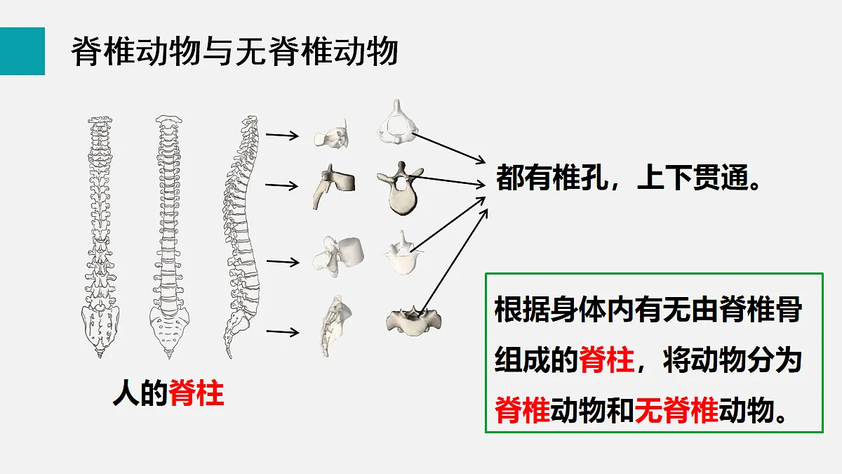 17255396第4页
