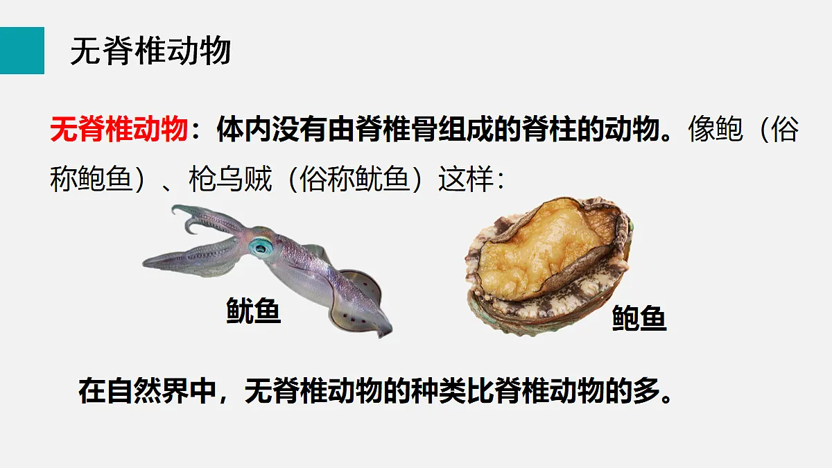 17255396第6页