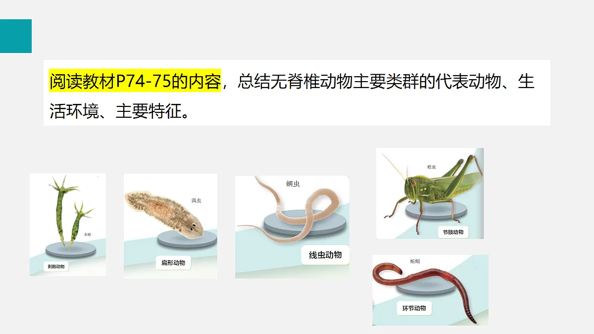 17255396第8页