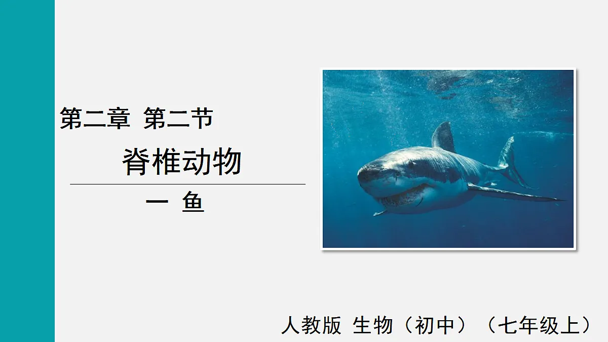 17255397第1页