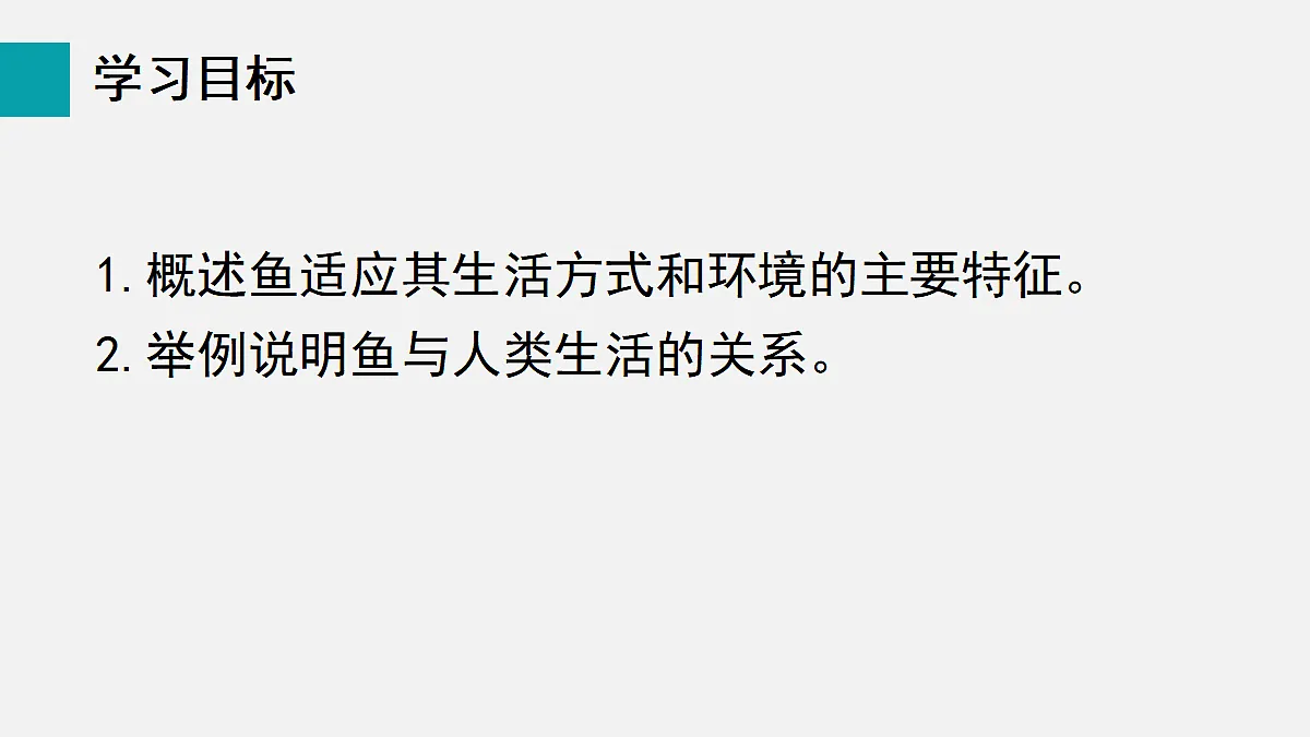 17255397第2页