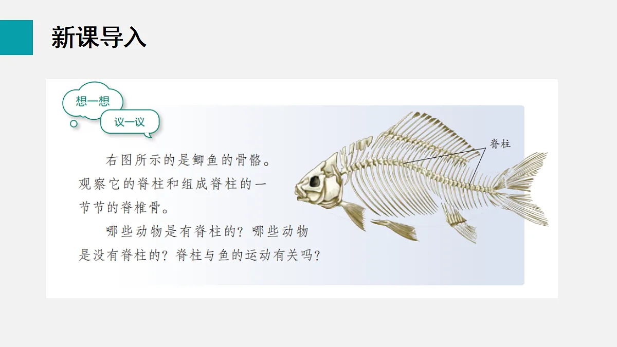 17255397第3页