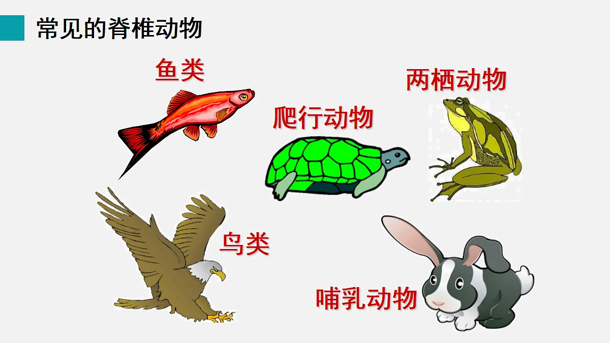 17255397第5页