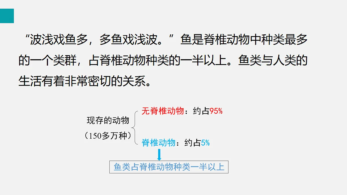 17255397第6页