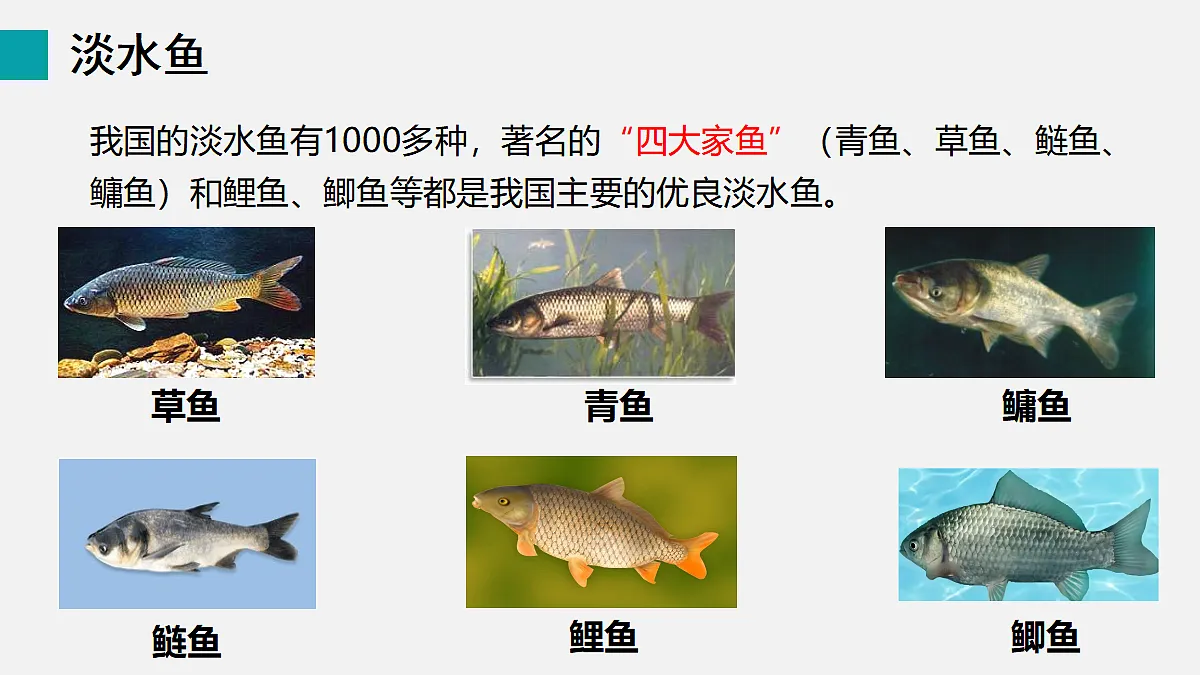 17255397第8页