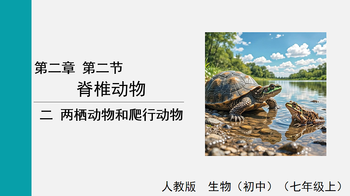 17255398第1页