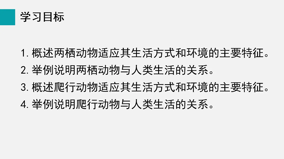 17255398第2页