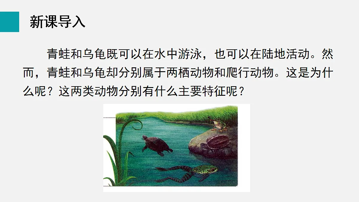 17255398第3页