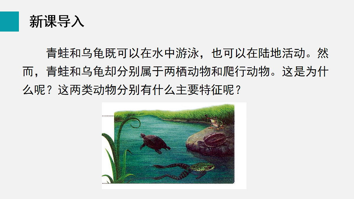 17255398第3页