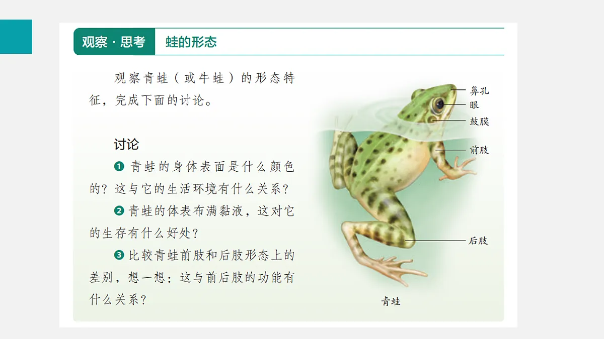 17255398第6页