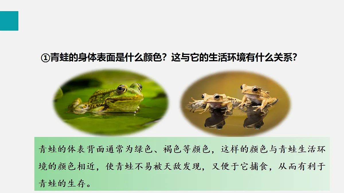 17255398第7页