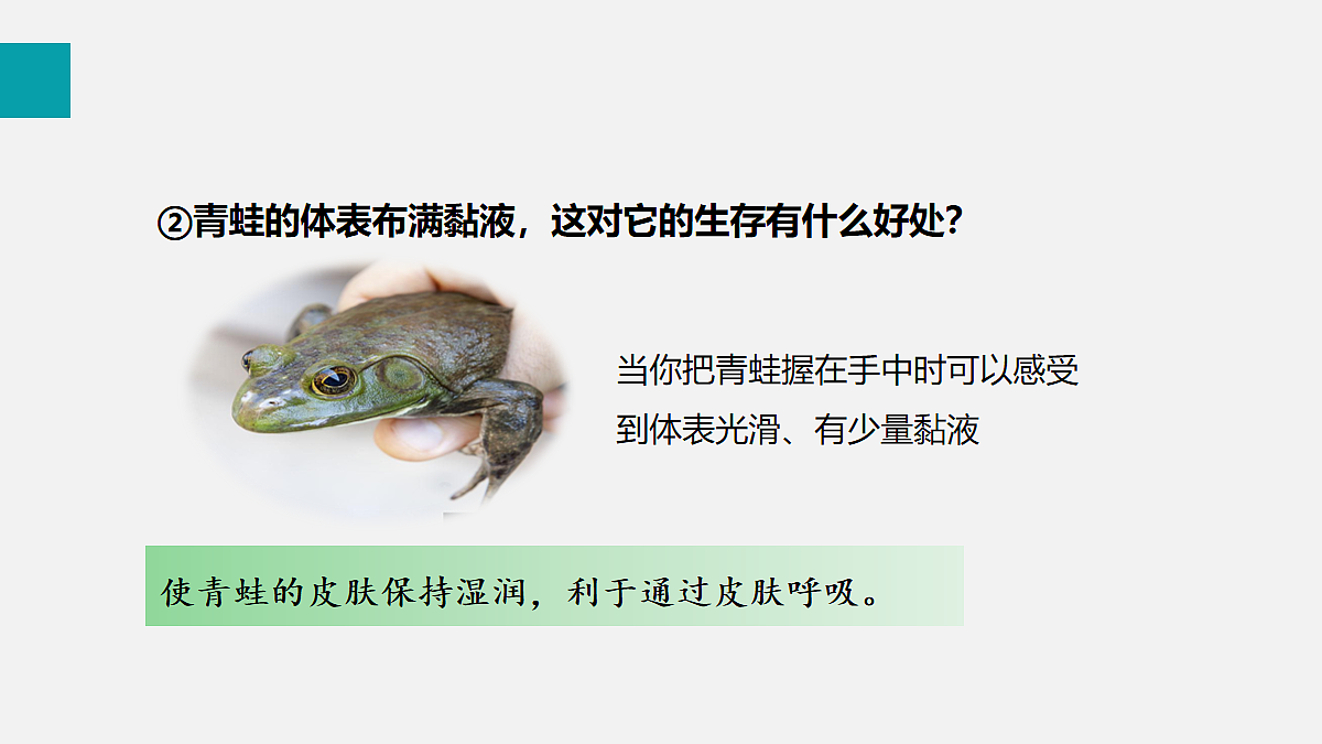 17255398第8页