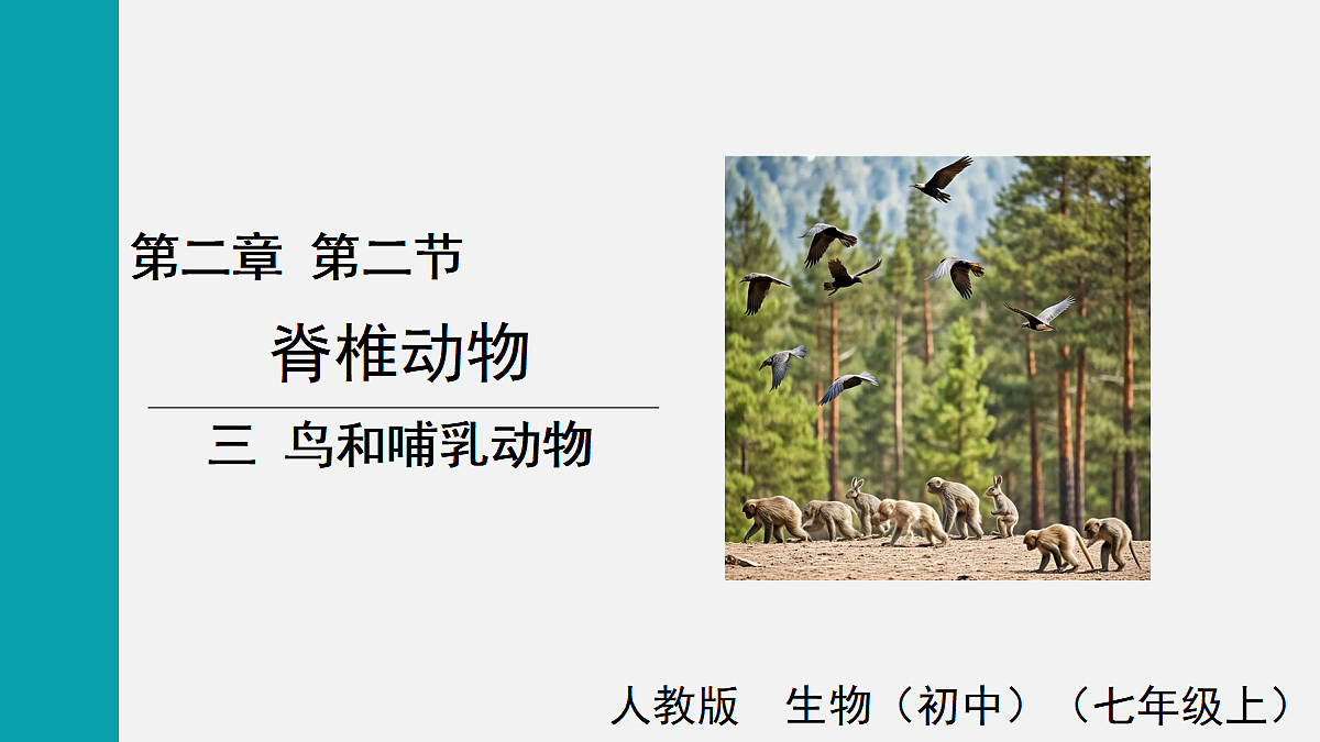 17255399第1页