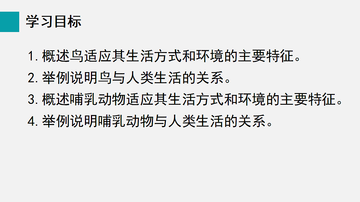 17255399第2页