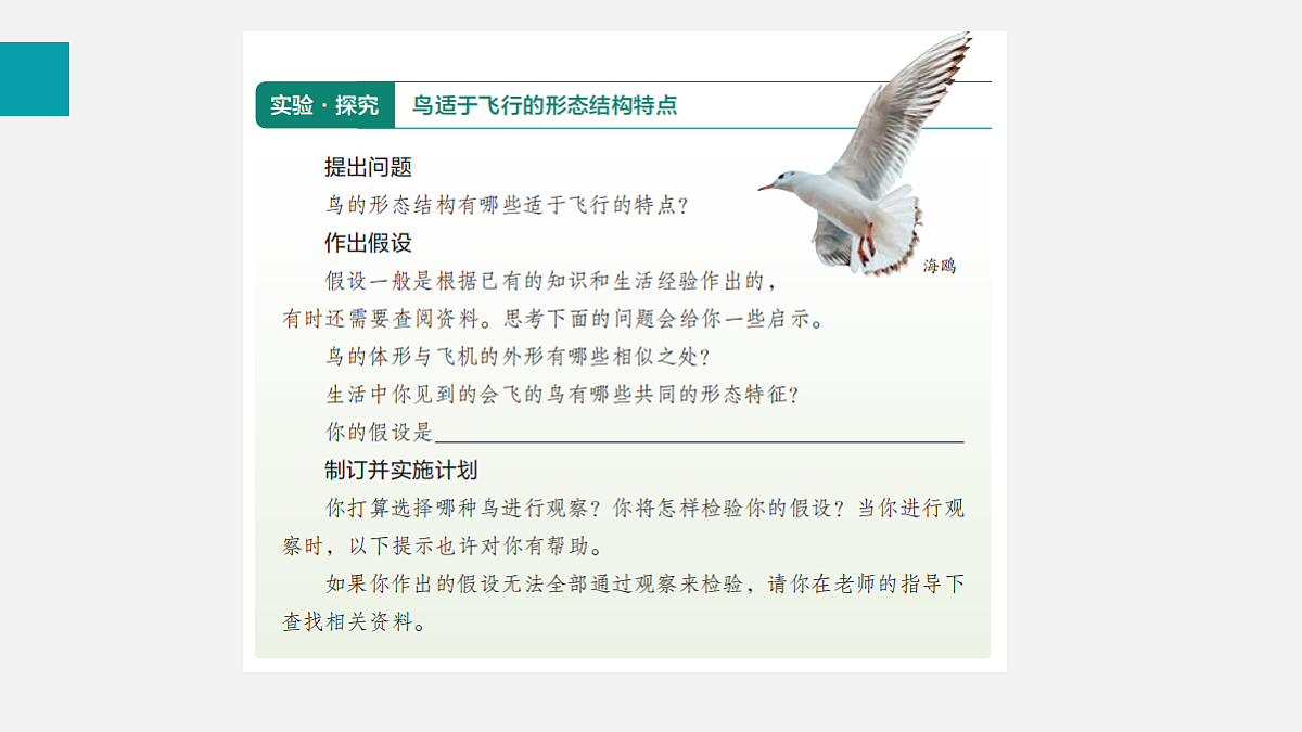 17255399第5页