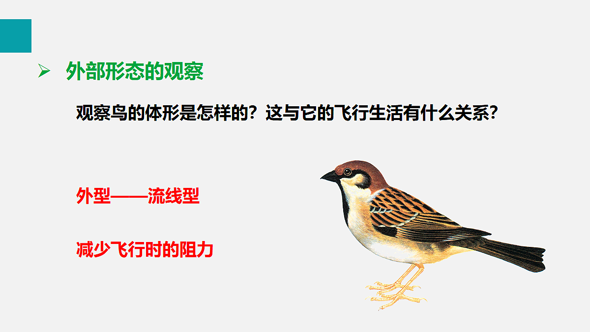 17255399第7页