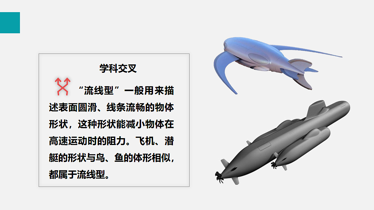 17255399第8页