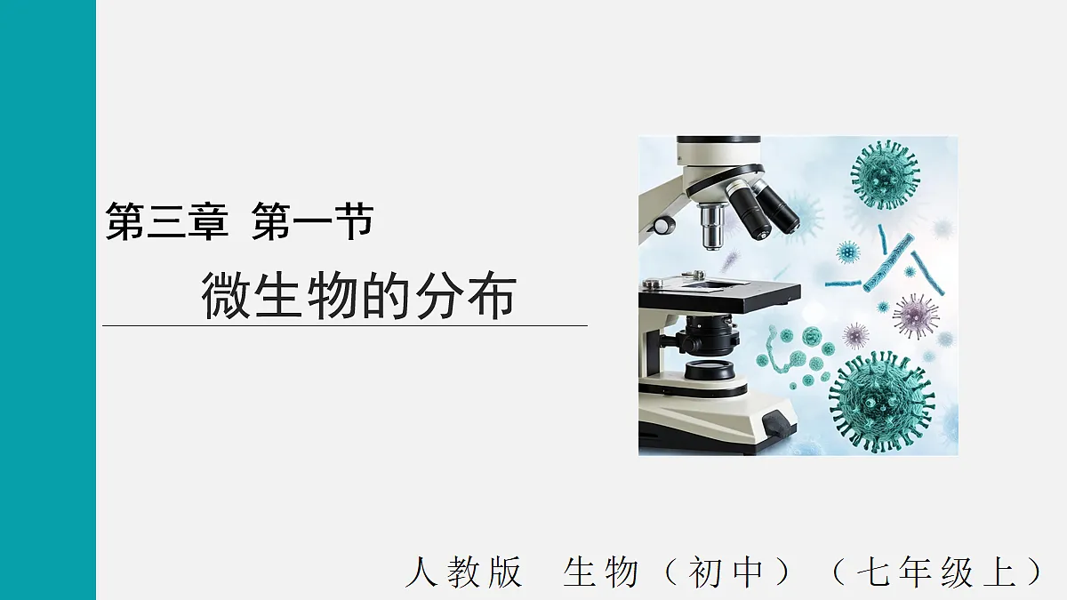 17255400第1页