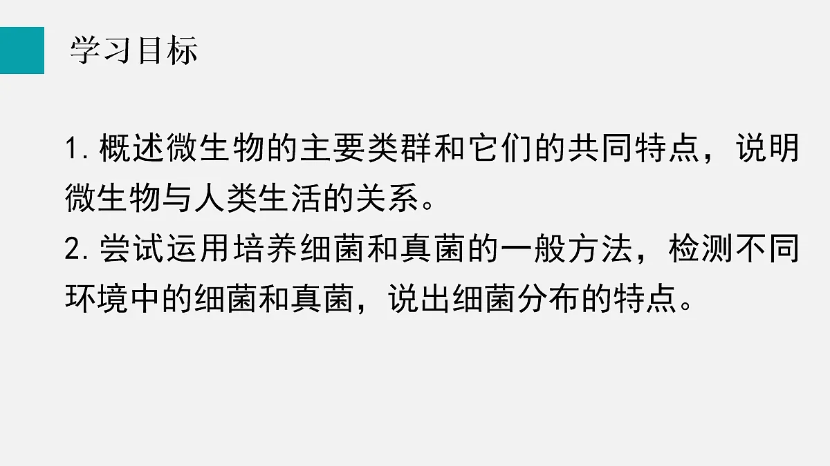 17255400第2页