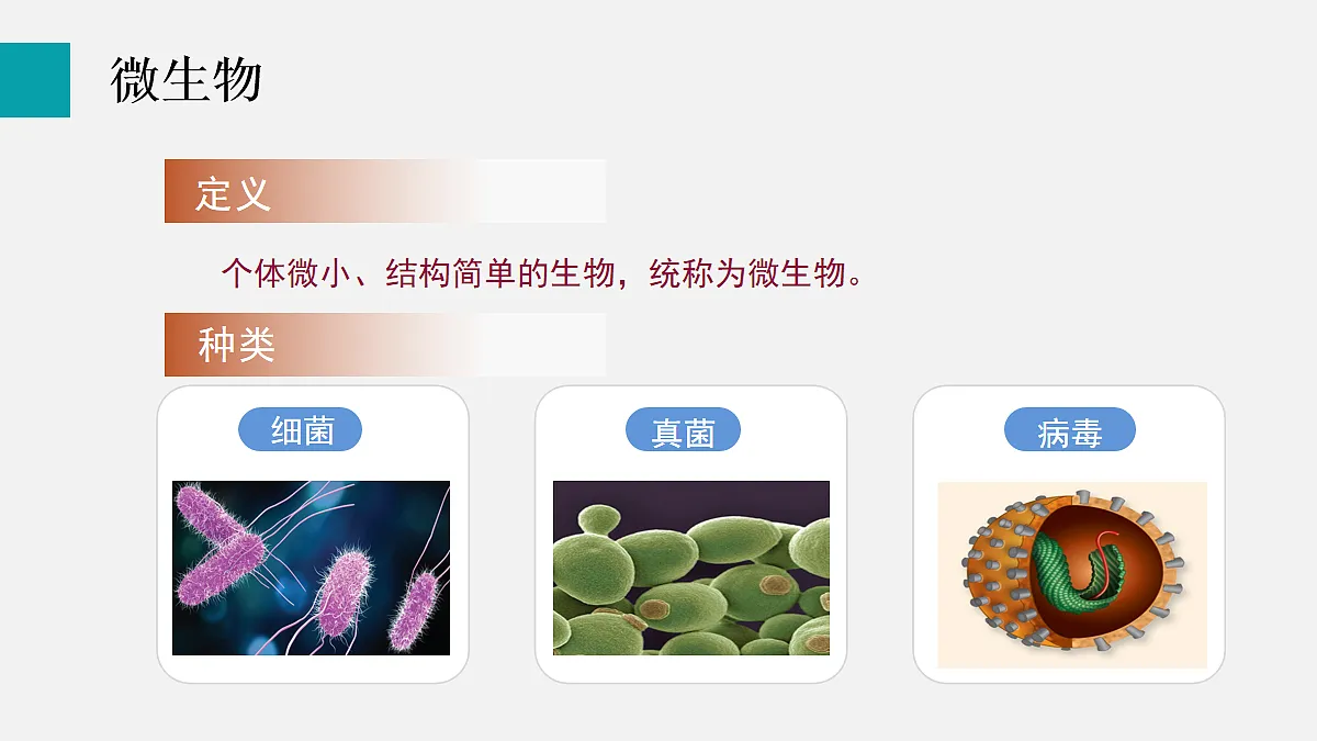 17255400第4页