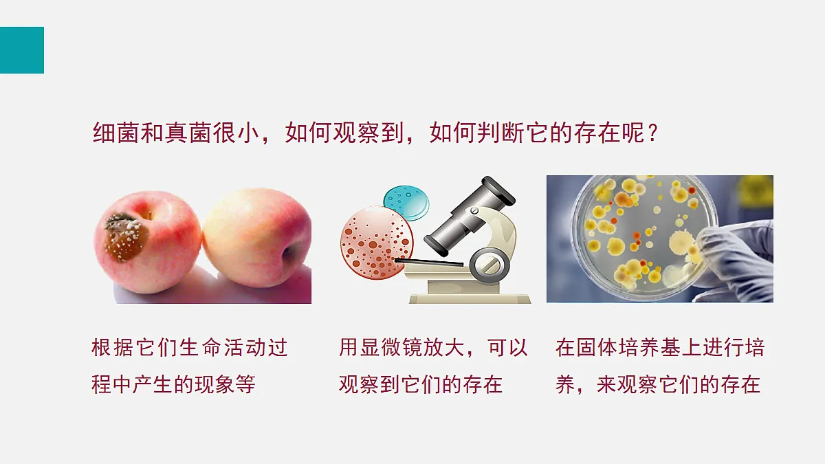 17255400第5页