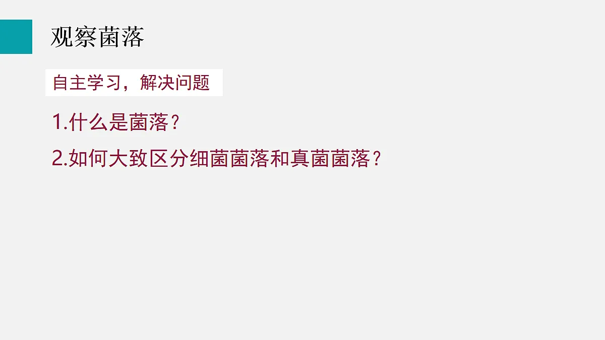 17255400第6页