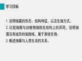 2.3.2细菌(课件)2025-2026学年人教版七年级生物上册