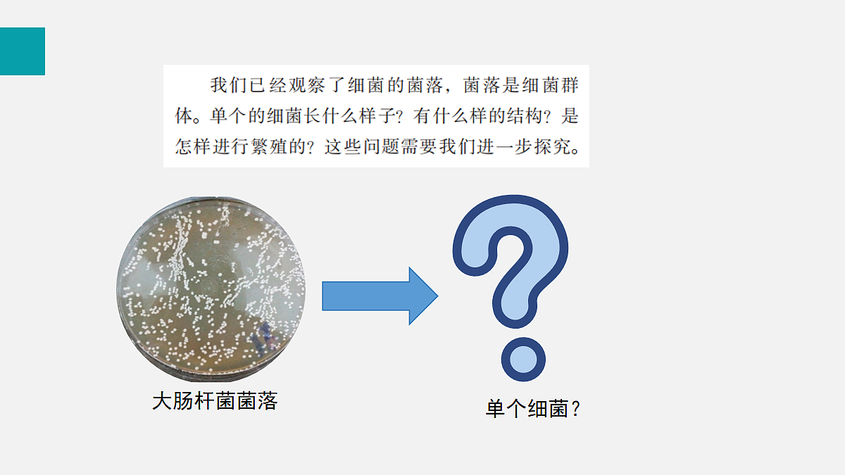 17255401第4页