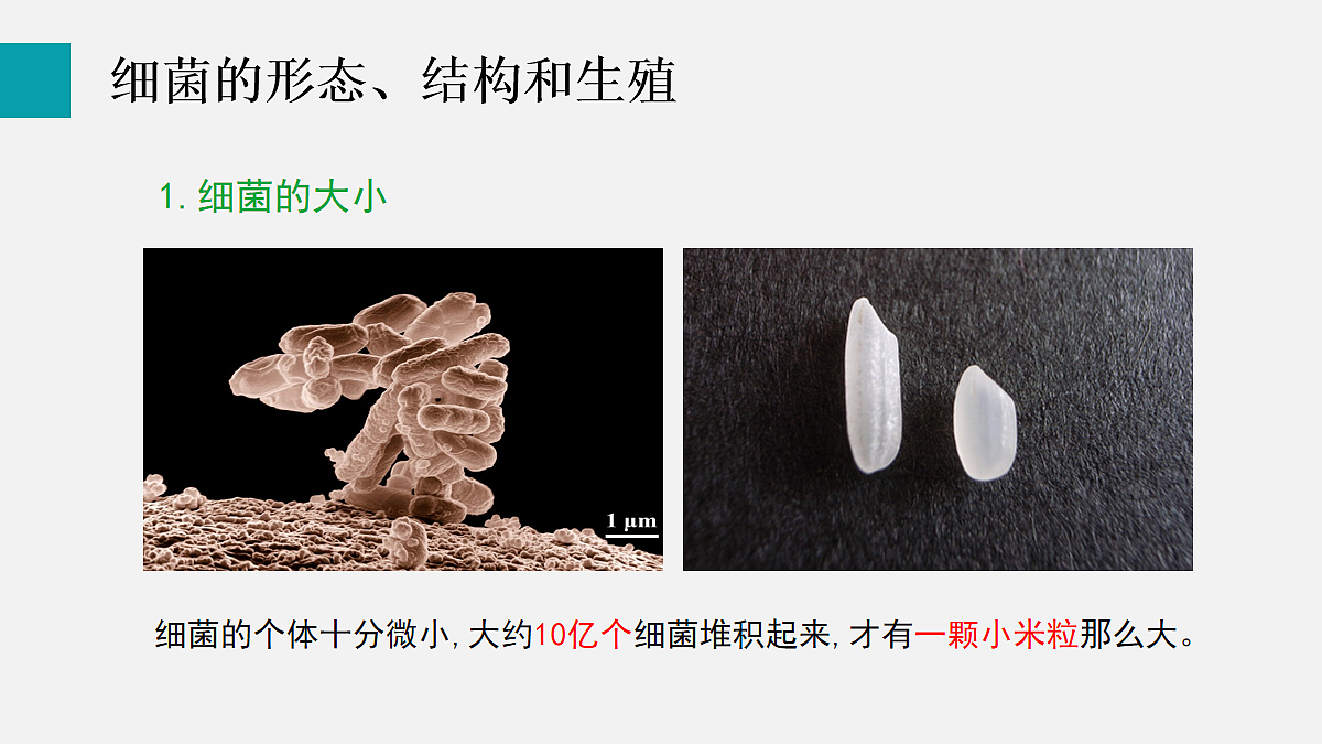 17255401第5页