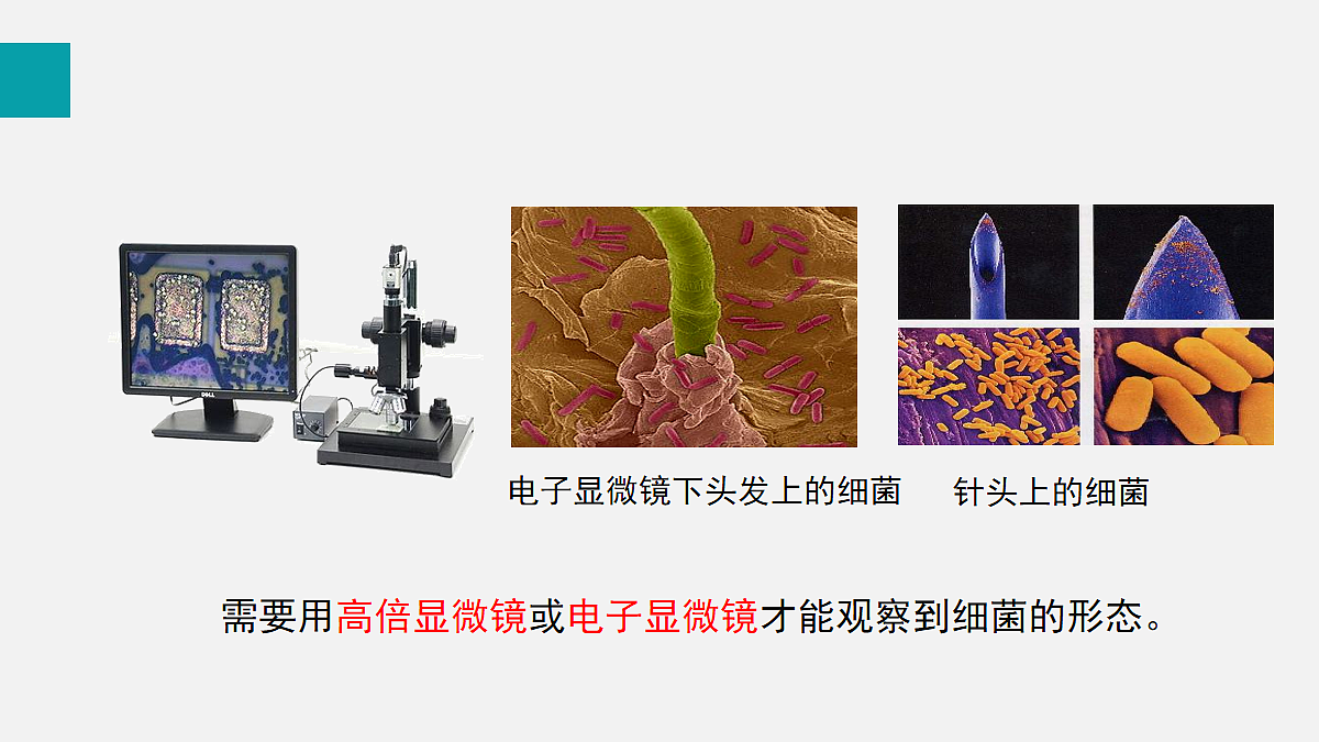 17255401第6页