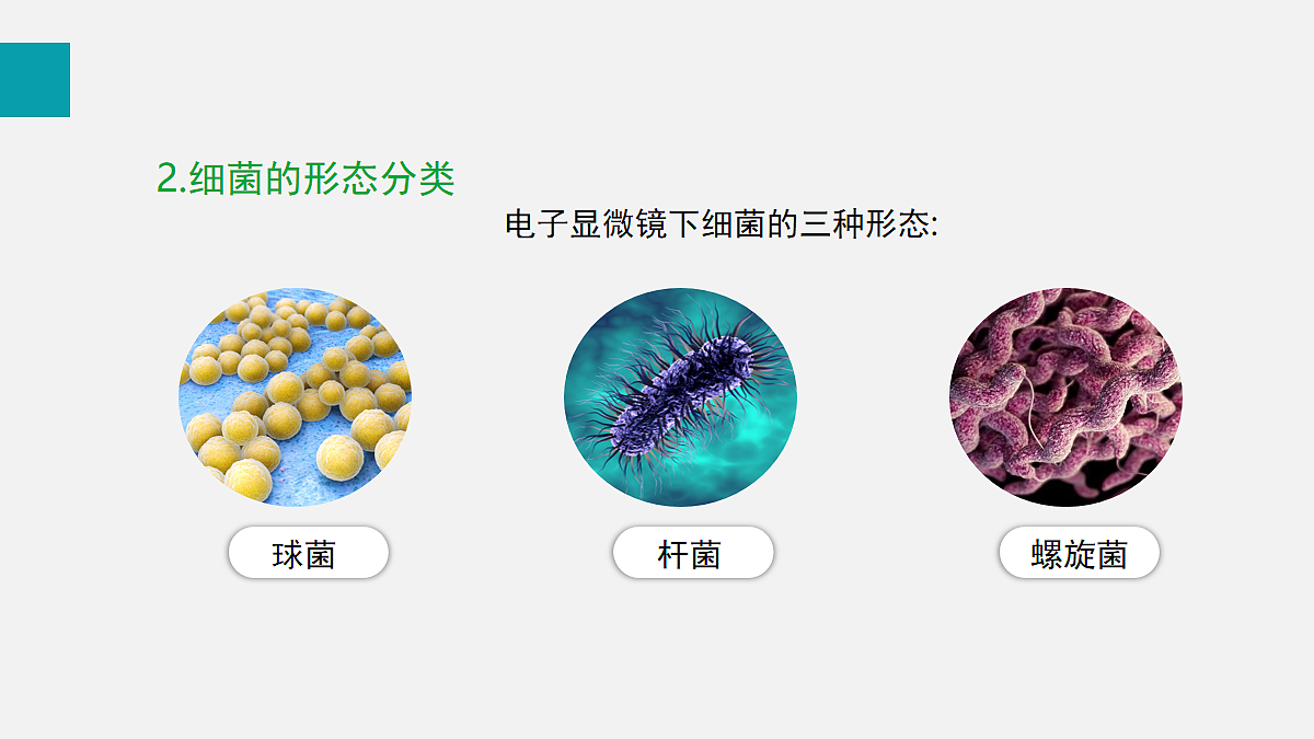 17255401第7页