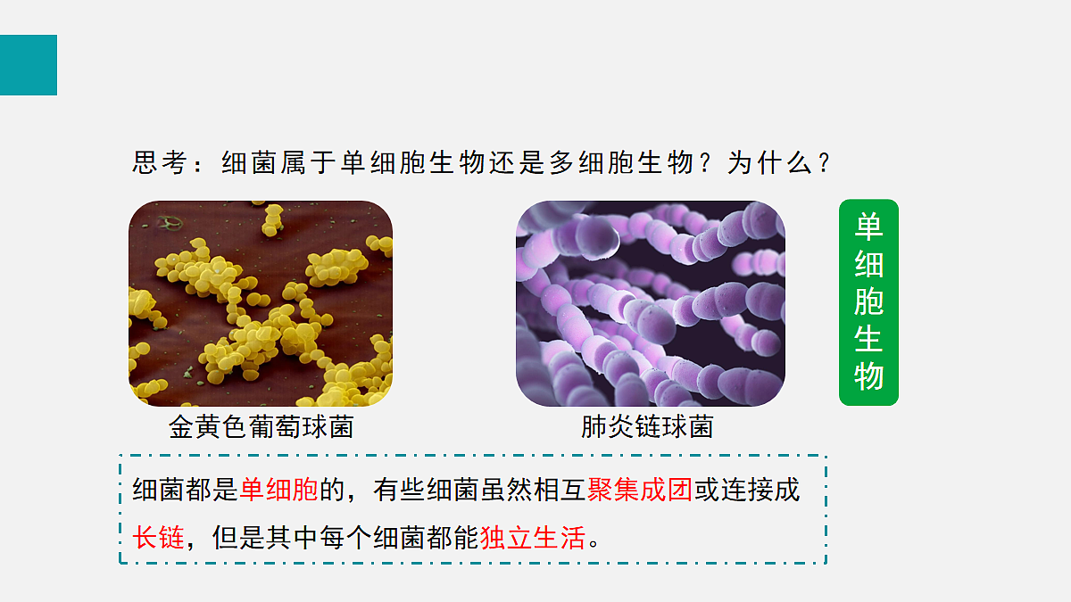 17255401第8页
